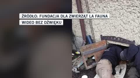 slideshow