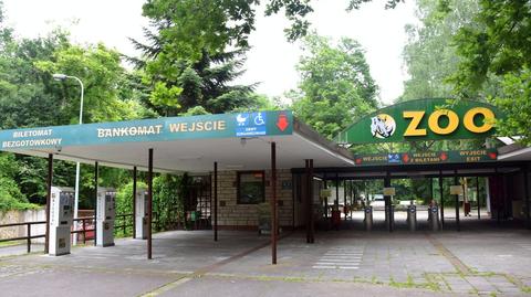 Zoo w Poznaniu