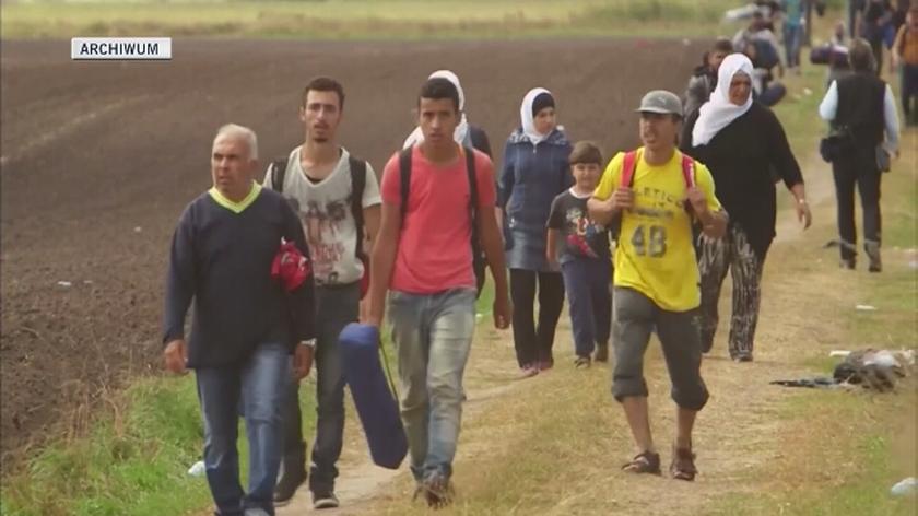 Nieletni imigranci znikają w Europie
