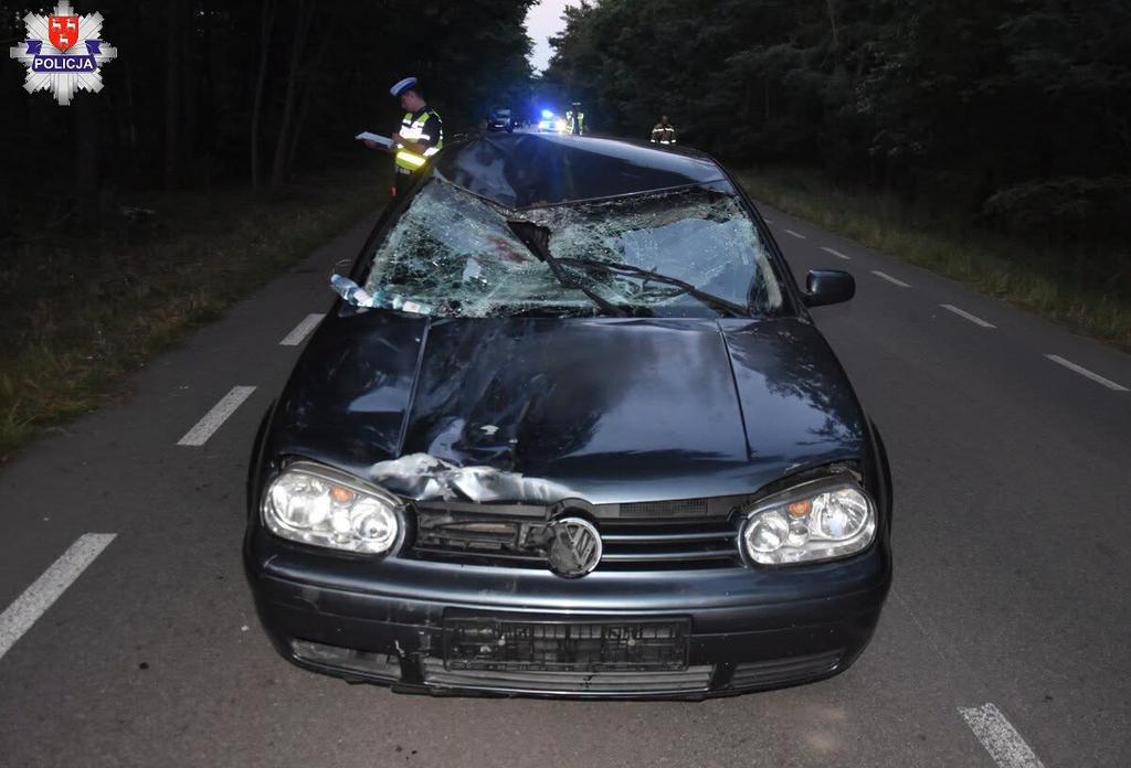 Wypadek w Hucie Dąbrowie