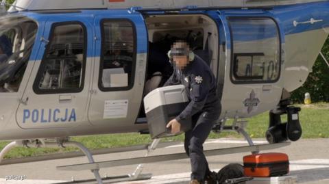 Policjanci transportowali wątrobę pobraną od dawcy na Litwie