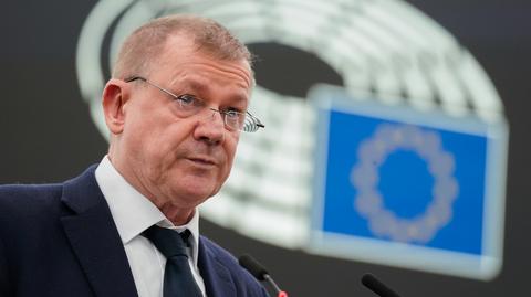 Partie szykują się do wyborów do Parlamentu Europejskiego