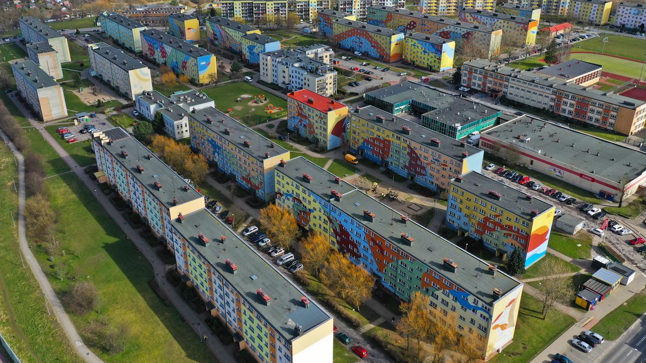 Przymrozki w Polsce. Za nami zimna noc