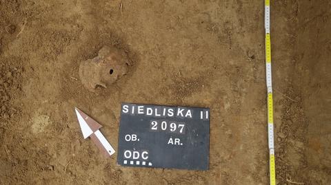 Siedliska Drugie. Archeolodzy odkryli osiem pozostałości grobów oraz dwa niewielkie skupiska kości