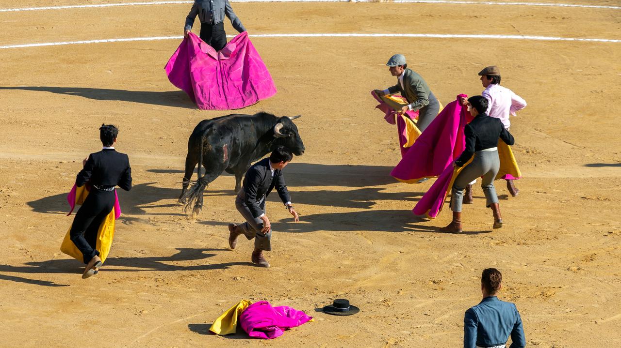 España.  El mayor número de víctimas taurinas de la historia