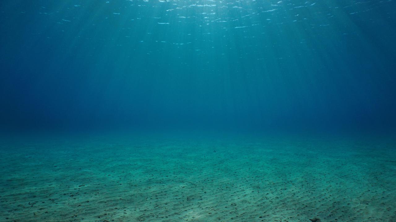 Depressions at the bottom of the North Sea.  It was believed that a methane leak was responsible