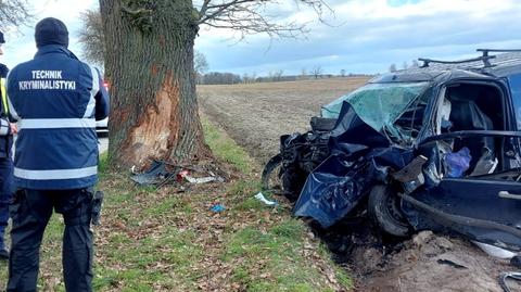 Konin, Pniewy. Bus uderzył w drzewo. Zginął kierowca