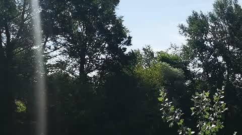 Kładka połączyła Owińska z Poznaniem i gminą Suchy Las