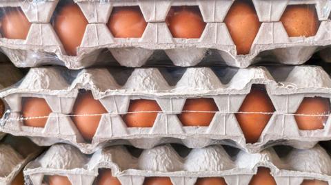 GIS ostrzega przed bakteriami na skorupkach jajek