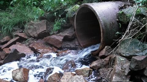 Magnuszewski: regularnego monitoringu jakości wód na małych rzekach nie ma (materiał z 04.07.2022)