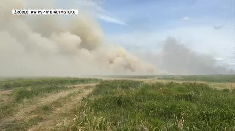 Zabiele. Płoną łąki na terenie Biebrzańskiego Parku Narodowego