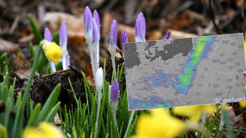 Prognoza temperatury na kolejne dni