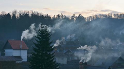 Jak chronić się przed smogiem