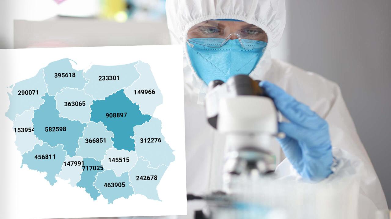Corona virus en Polonia – mapa de infección, ¿cuántas vacunas?  ¿Cuántos casos nuevos se han identificado?  29 de mayo de 2022