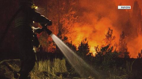 Strażacy walczą z pożarami w Chile