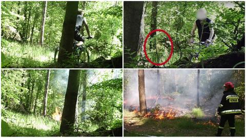 Podpalał lasy od dwóch lat, wpadł dzięki fotopułapce