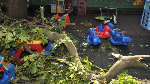 Konar spadł na przedszkolaków bawiących się na placu zabaw w Toruniu