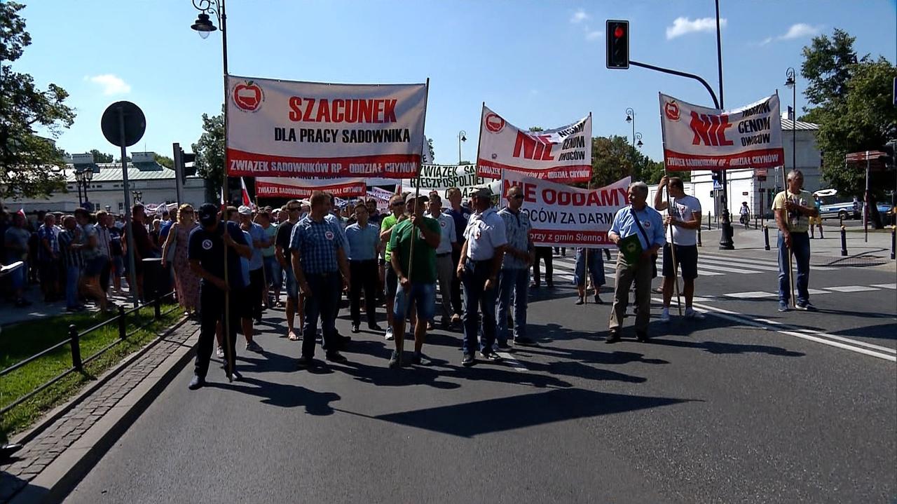 Polish Fruit farmers protest against low prices of their produce - TVN24