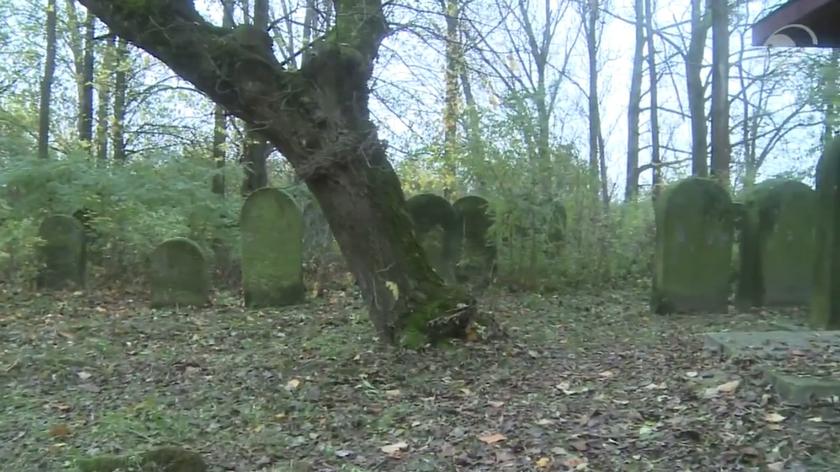 Ciało noworodka znaleziono na cmentarzu w Ożarowie