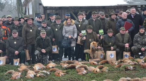 Myśliwi zastrzelili ponad 200 lisów