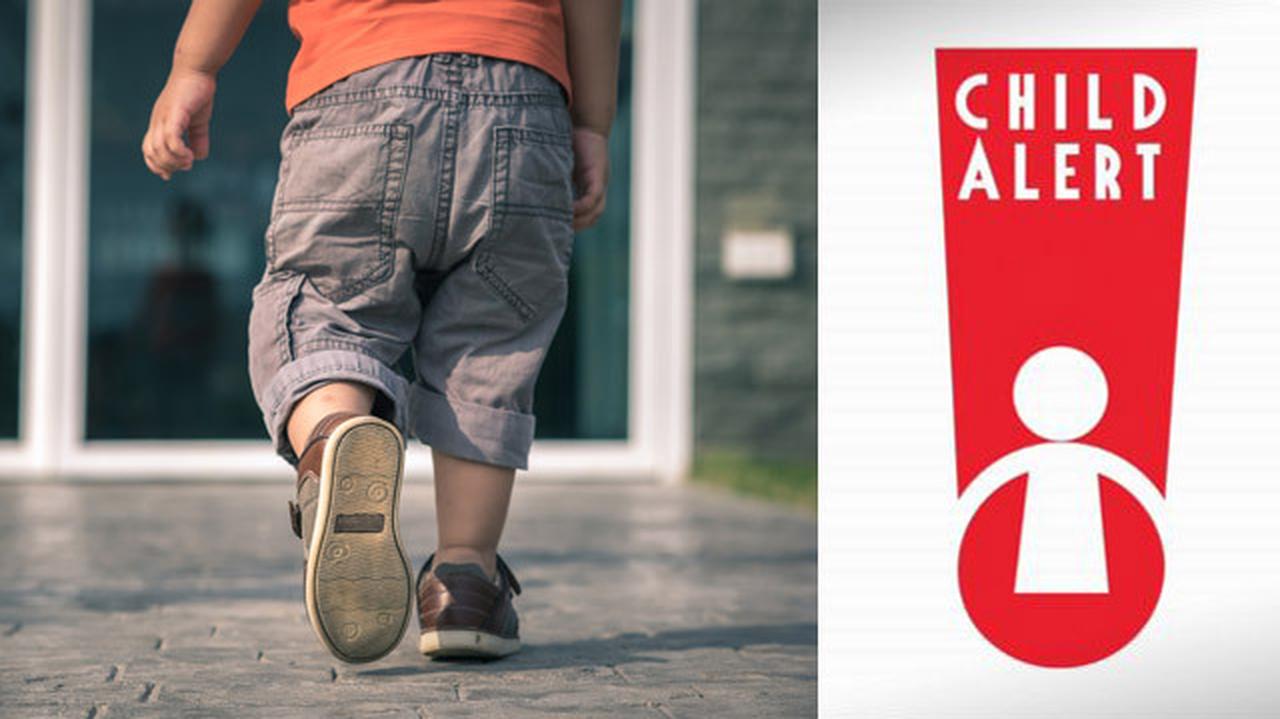 Child Alert co to jest? Na czym polega? Przypadki w Polsce TVN24