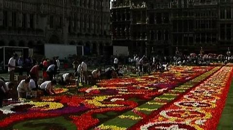 Kwiatowy dywan w Brukseli