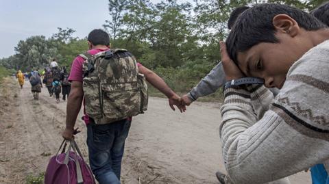Codziennie setki nowych imigrantów. Reporter TVN24 na granicy serbsko-węgierskiej
