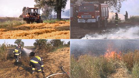 160 hektarów spłonęło w jeden dzień