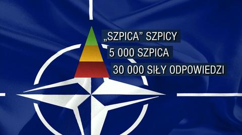 Szpica NATO nabrała realnych kształtów