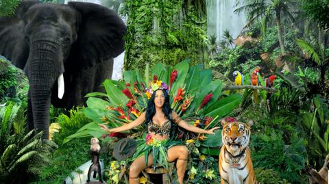 Teledysk Katy Perry "Roar"