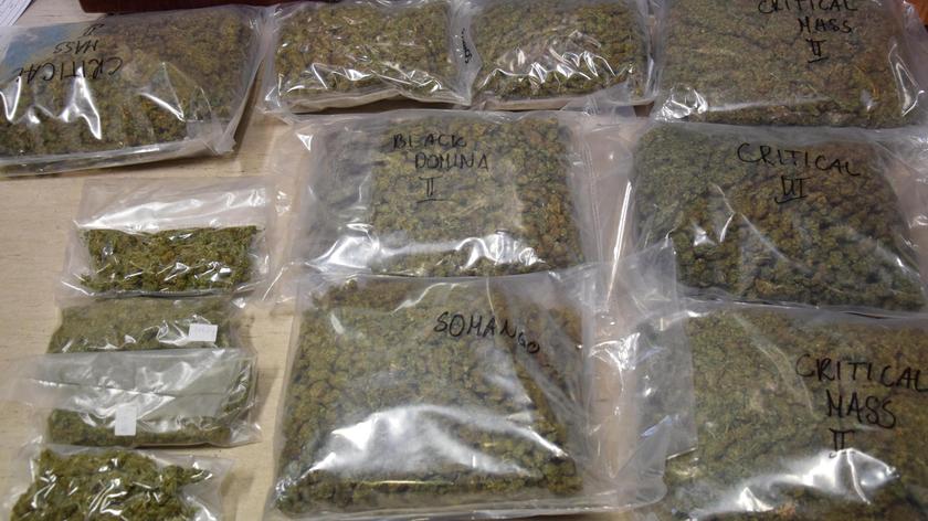 W mieszkaniu znaleziono 11 kilogramów marihuany