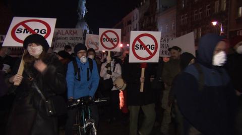 Smog wawelski