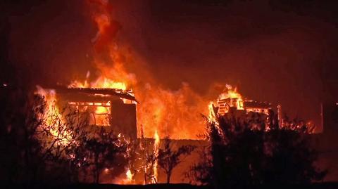 "Ogień jest olbrzymi". Pożary lasów w Kalifornii