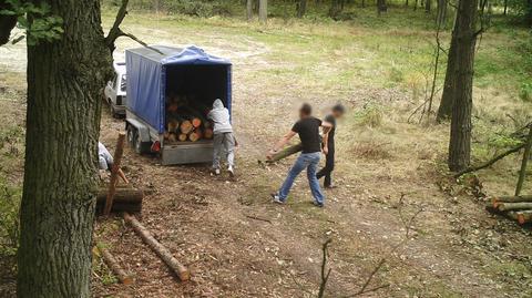 Kamera nagrała mężczyzn, którzy kradli drewno z lasu