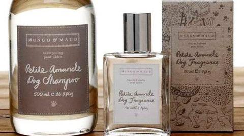 Psie perfumy