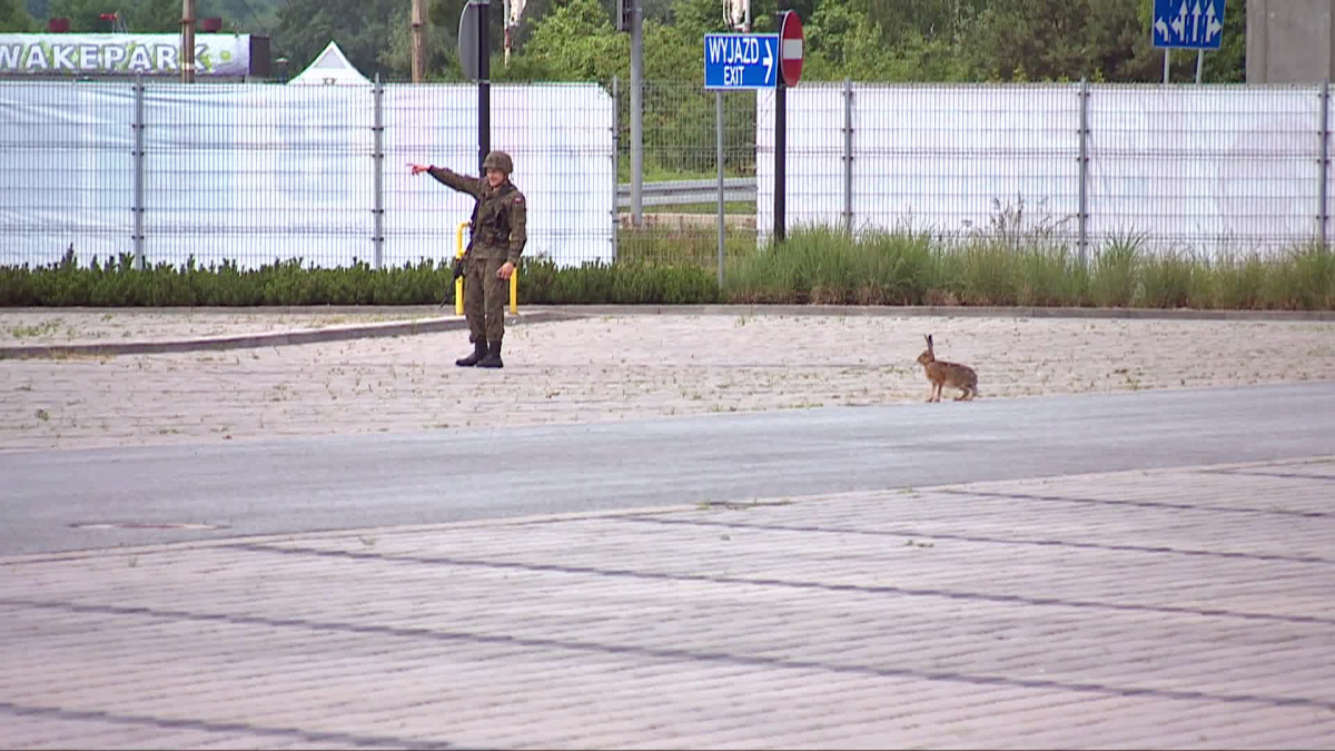 Ciekawostki - intrygujące i ciekawe wiadomości - TVN24