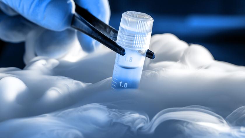 Naukowcy z Newcastle stworzyli spermę w laboratorium