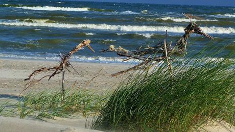 Drewniane ptaki nad morzem 