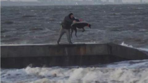 Brutalnie wyrzucił psa do zimnego morza