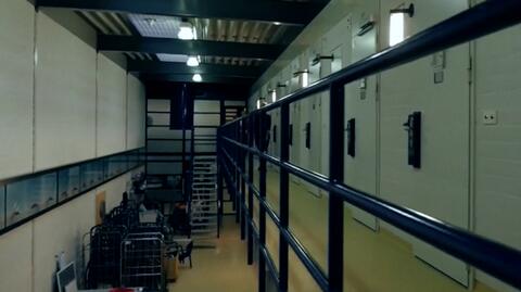 Cele do wynajęcia. Po zmianie polityki, więzienia w Holandii stoją puste