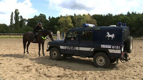 27.08.2014 | Konie w służbie polskiej policji. Będzie ich więcej