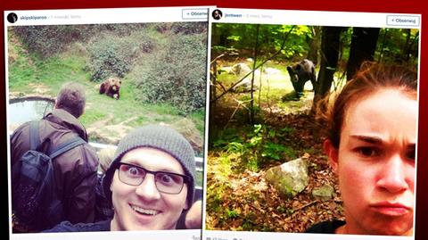 Internauci robią "selfie" z niedźwiedziami