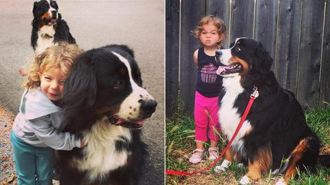 Niezwykła przyjaźń dwulatki i jej psów