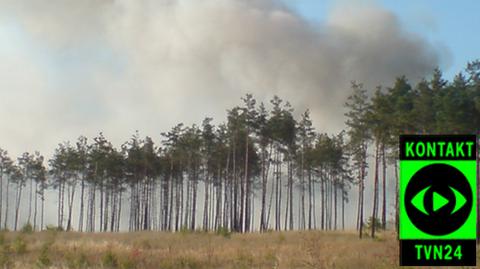 Pożar w pilskim lesie