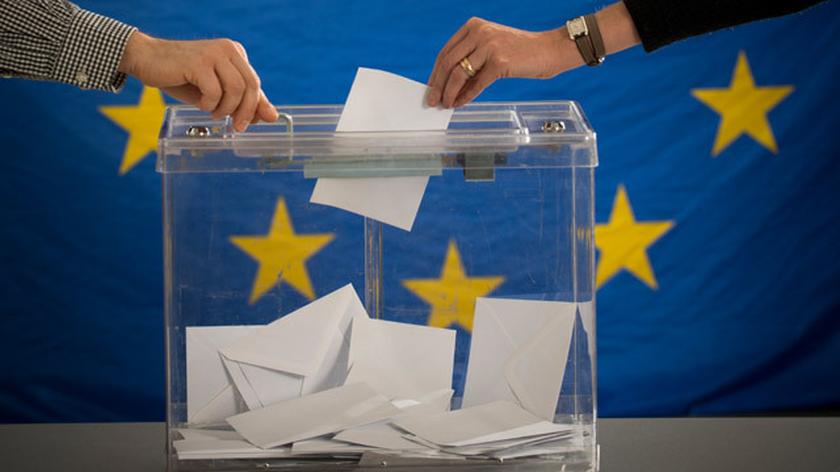 Wybory do europarlamentu 2014