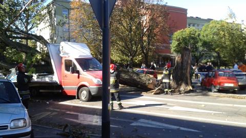 Drzewo runęło na samochody
