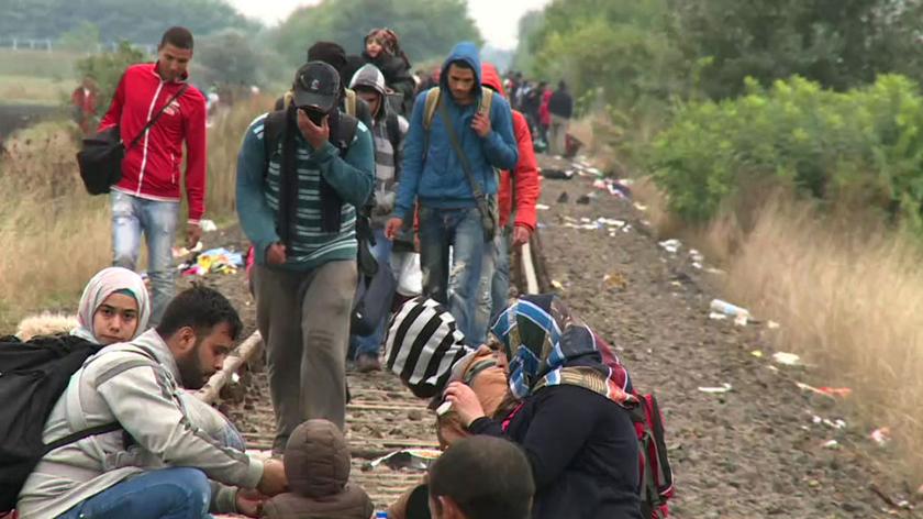 "Wyrwa" w węgierskim murze. Uchodźcy wędrują torami