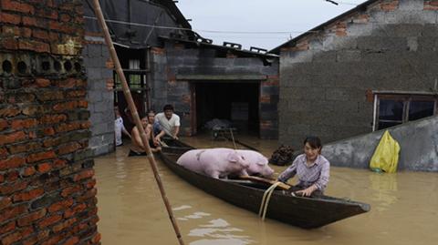 Woda zalała ponad 8 tys. domów i gospodarstw