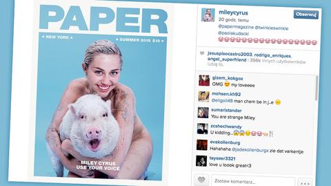 Miley Cyrus pozuje ze świnią na okładce "Paper Magazine"