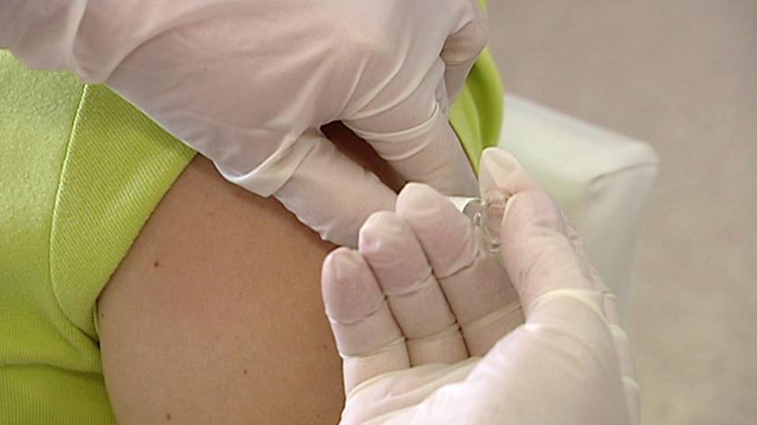W Małopolsce zanotowano zachorowania na świńską grypę